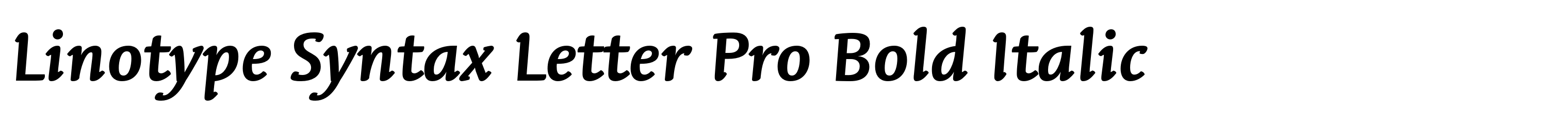 Linotype Syntax Letter Pro Bold Italic